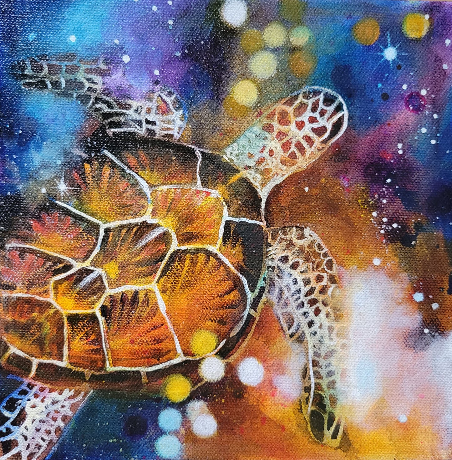 moon series - Turtle